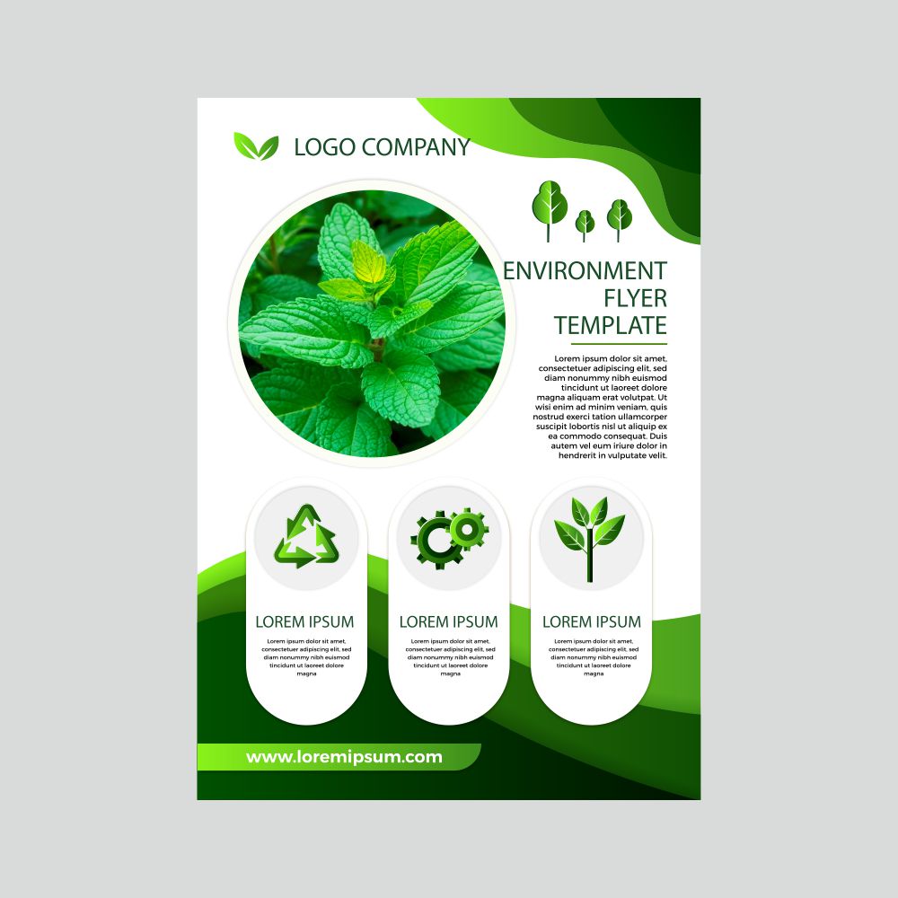 Leaflets - Digital (A4)